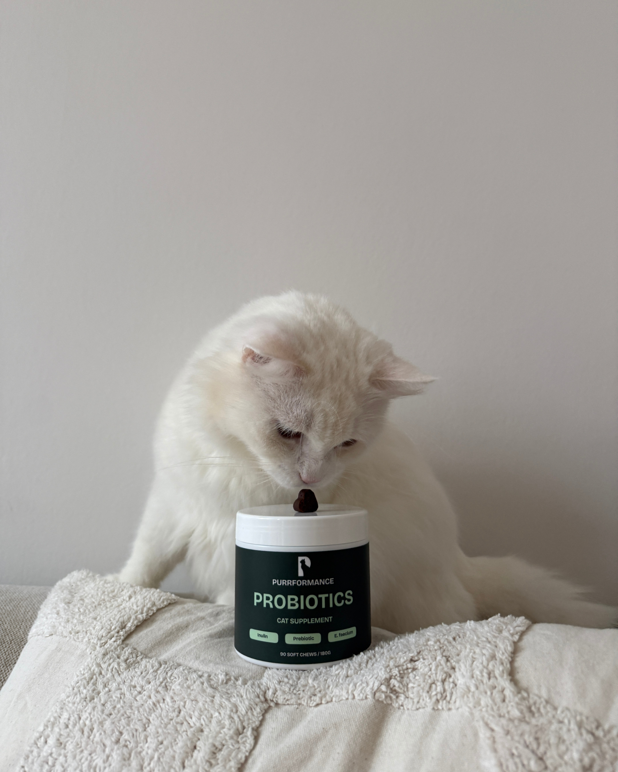 Probiotics for Cats